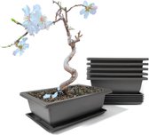 6 stuks Bonsai trainingsschalen, 23 x 17 x 8 cm, rechthoekige bonsai-potten van kunststof met onderzetter, plantenbak voor tuin, terras en vensterbank
