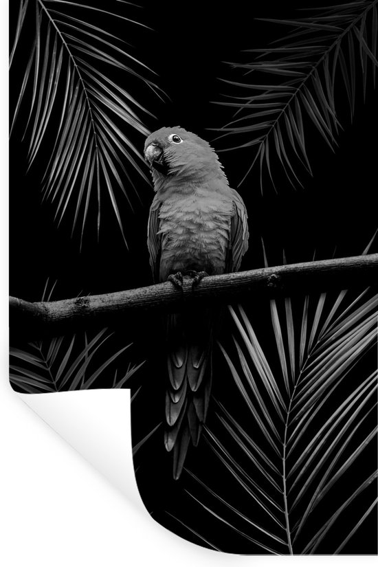Muurstickers - Sticker Folie - Vogel op een zwarte achtergrond - zwart wit - 60x90 cm - Plakfolie - Muurstickers Kinderkamer - Zelfklevend Behang - Zelfklevend behangpapier - Stickerfolie