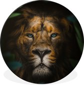 WallCircle - Wandcirkel - Muurcirkel - Dieren - Leeuw - Wilde dieren - Aluminium - Dibond - ⌀ 140 cm - Binnen en Buiten