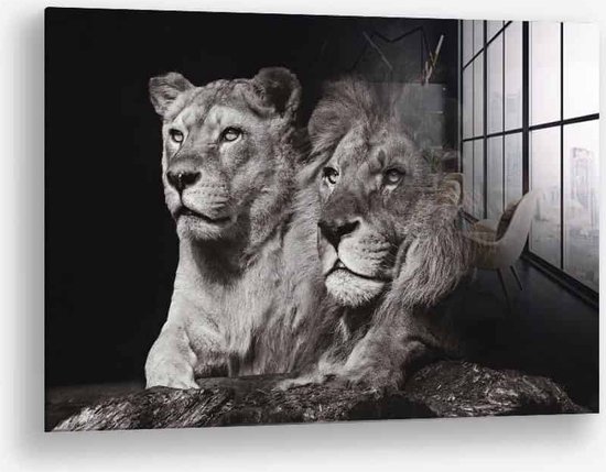 Wallfield™ - Lion Couple | Glasschilderij | Gehard glas | 40 x 60 cm | Magnetisch Ophangsysteem