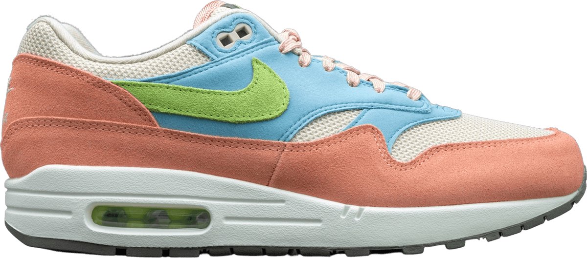 Nike Air Max 1 Light Madder Root Worn DV3196-800 – Schoenen Blauw