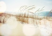 Strand - Duinen - Zand - Duinstrand - Zee - Fotobehang - Natuur - Vliesbehang - (208 x 146 cm)