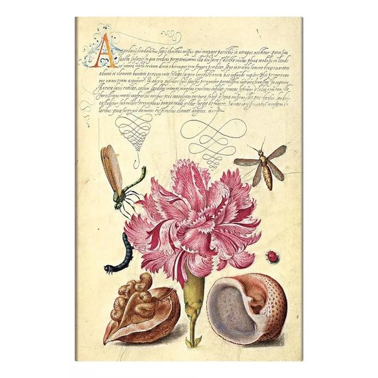 Foto: Mira botanica pink carnation mira botanica midi lined softcover flexi journal elastic band closure 