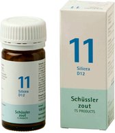 Pfluger Schussler Zout nr 11 Silicea D12 - 1 x 100 tabletten