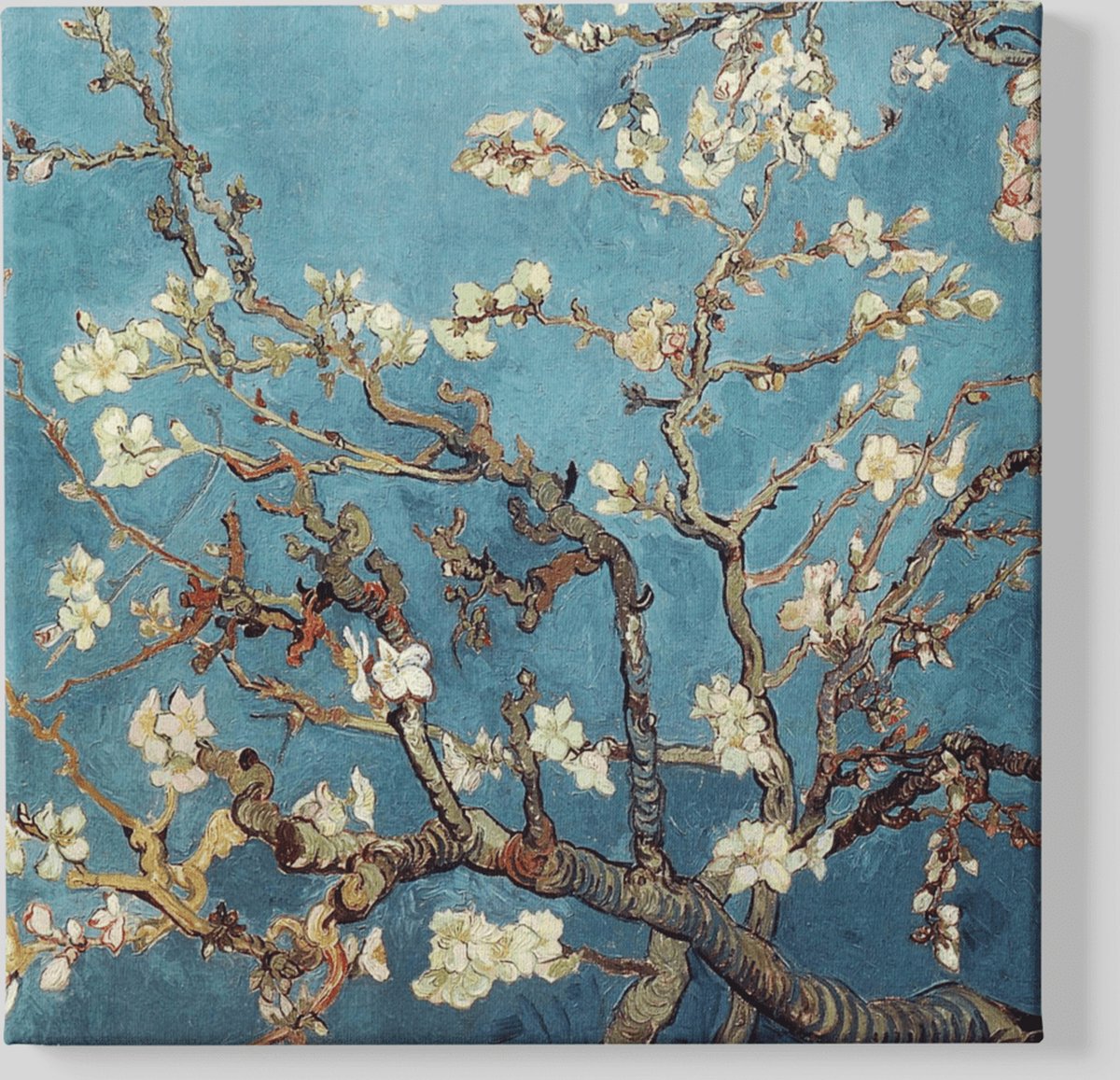 Trendex Global Canvas Schilderij - Amandelbloesem - Van Gogh - 100x100x2 cm Turkoois
