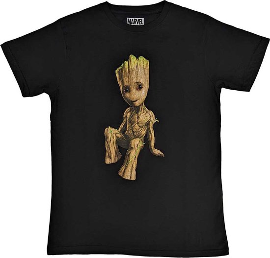 Marvel Baby Groot sitting shirt – Guardians of the Galaxy XL