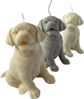Labrador - kaars - Mijn Pronkstuk - Hond - Kaars - Figuur kaars - Cadeau - Geschenk - Decoratie - Handgemaakt - Kaarsen - Candle