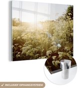 MuchoWow® Glasschilderij 40x30 cm - Schilderij acrylglas - Bloemen - Wit - Lente - Foto op glas - Schilderijen