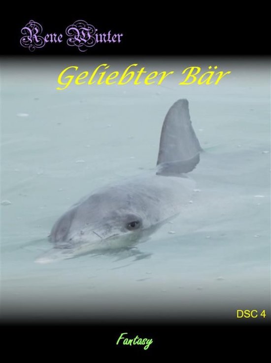Geliebter Bär - cover