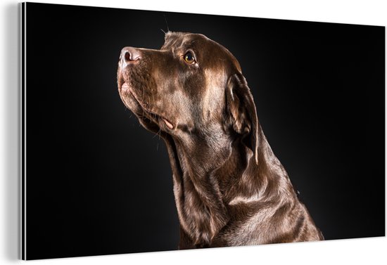 Wanddecoratie Metaal - Aluminium Schilderij - Hond - Bruin - Portret