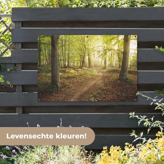 Een bos met een pad, zonlicht filtert door de bladeren van de bomen. Bladeren op de grond.