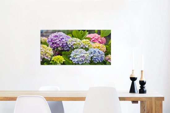 Wanddecoratie Metaal - Aluminium Schilderij Industrieel - Verschillende hortensia bloemen - 80x40 cm - Dibond - Foto op aluminium - Industriële muurdecoratie - Voor de woonkamer/slaapkamer