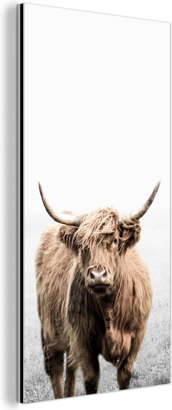 Décoration murale Métal - Peinture Aluminium Industriel - Highlander Ecossais - Fourrure - Vache - 20x40 cm - Dibond - Photo sur aluminium - Décoration murale industrielle - Pour le salon/chambre