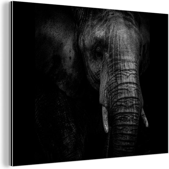 Wanddecoratie Metaal - Aluminium Schilderij Industrieel - Portret van een olifant in zwart-wit tegen een donkere achtergrond - 120x90 cm - Dibond - Foto op aluminium - Industriële muurdecoratie - Voor de woonkamer/slaapkamer