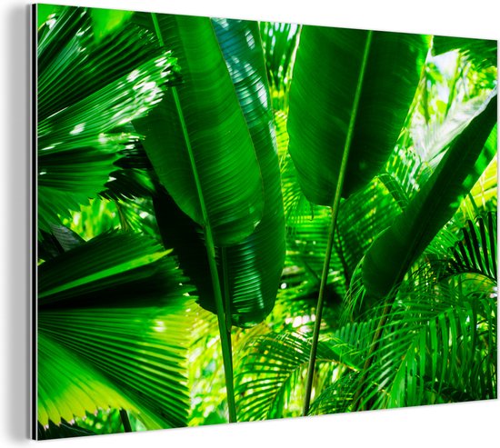 Wanddecoratie Metaal - Aluminium Schilderij Industrieel - Tropische bladeren in jungle fotoprint - 30x20 cm - Dibond - Foto op aluminium - Industriële muurdecoratie - Voor de woonkamer/slaapkamer