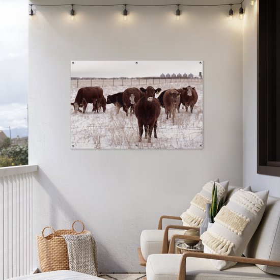 Affiche de jardin Troupeau de vaches dans un champ de neige 120x80 cm - Toile de jardin / Toile d'extérieur / Peintures d'extérieur (décoration de jardin)