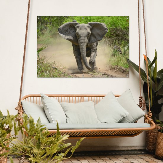 Affiche Running Elephant Garden 120x80 cm - Toile de jardin / Toile d'extérieur / Peintures d'extérieur (décoration de jardin)
