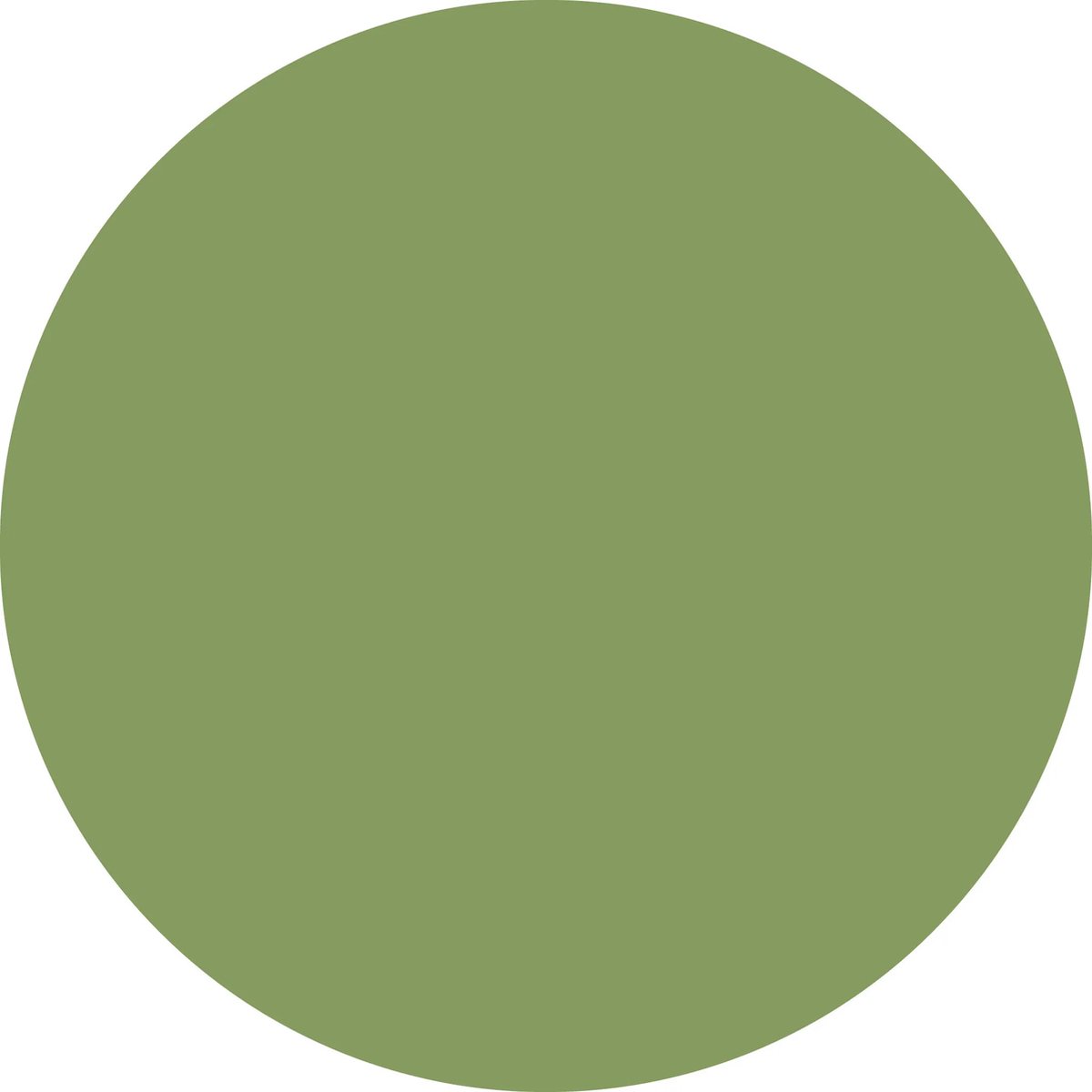 Vinyl | UNI kleed vinyl rond | Groen | 170 cm Rond | Het UNI kleed vinyl rond in groen is perfect voor gezinnen. Duurzaam, hygiënisch en stijlvol, het voegt sfeer toe aan elke ruimte. Een milieuvriendelijke keuze zonder in te boeten op design!