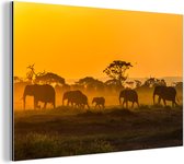 Wanddecoratie Metaal - Aluminium Schilderij Industrieel - Kudde olifanten bij zonsopkomst - 90x60 cm - Dibond - Foto op aluminium - Industriële muurdecoratie - Voor de woonkamer/slaapkamer