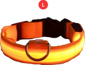 Livano Hondenhalsband Led - Lichtgevend - Verlichte Halsband - Lichtgevende Halsband - Hond - Kat - Lampje - Oplaadbaar - Oranje L