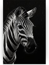 Zebra - Slaapkamer muurdecoratie - Muurdecoratie zwart wit - Landelijk schilderij - Canvas - Woonaccessoires - 60 x 90 cm 18mm