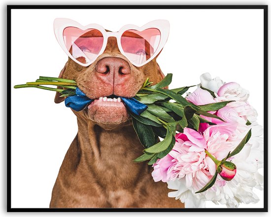 Hond bloemmen bril liefde verliefd fotolijst fotolijst fotolijst met glas 40 x 50 cm - Prachtige kwaliteit - bloem - hond - verliefd - Glazen plaat - inclusief ophangsysteem - Poster - Foto op hoge kwaliteit uitgeprint