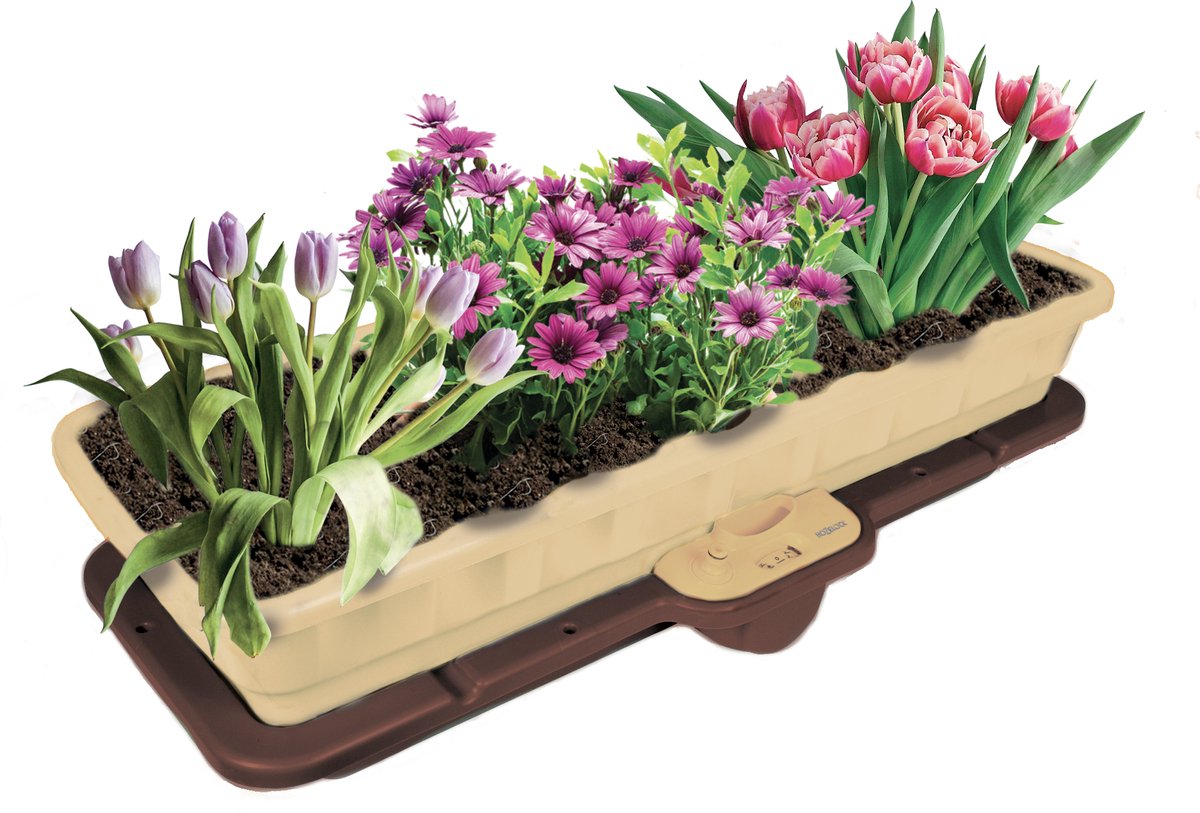 Hozelock Easyplant 3-in-1 - kweekbak met automatische bewatering