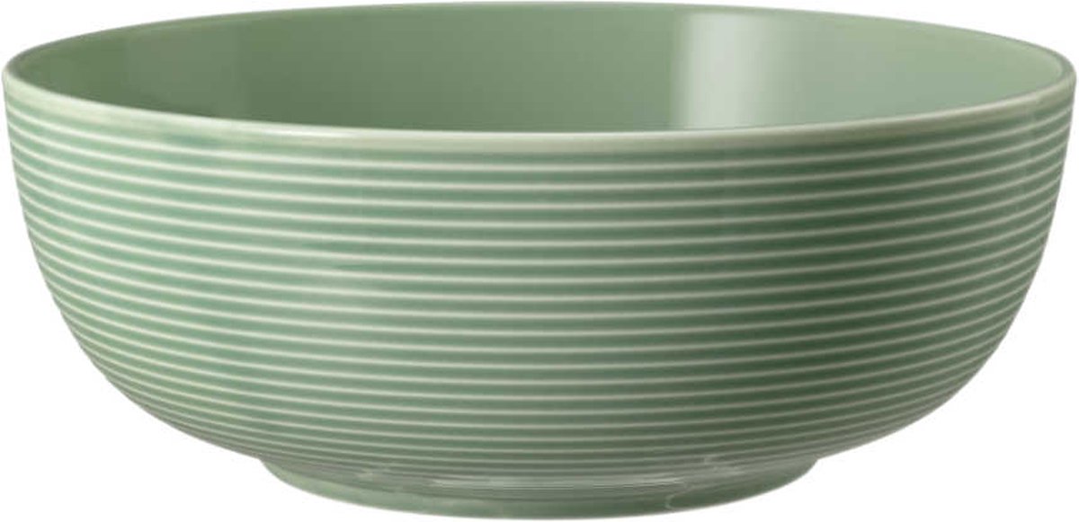 Seltmann Weiden Beat Salbeigrün Food Bowl kom 20 cm