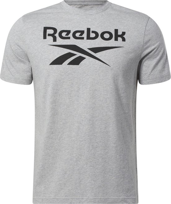 Reebok RI BIG STACKED LOGO TEE - Heren T-shirt - Grijs - Maat 2XL