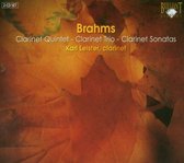 Karl Leister - Brahms: Complete Chamber Music (2 CD)