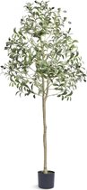 kunstmatige olijfboom 60x60x155cm kunstplant PE kunstplanten nep plastic planten in pot kunstbloem geurloos waterdicht ideaal voor het decoreren van slaapkamer, studeerkamer, woonkamer