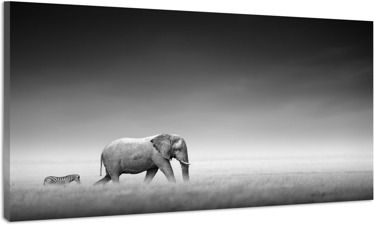 karo-art Schilderij -Olifant en Zebra op pad, zwart en wit, 100x70cm Multikleur