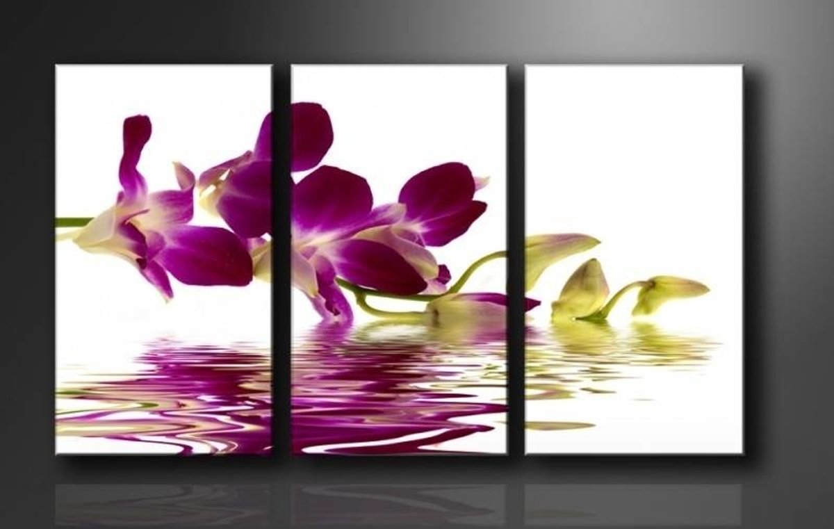 karo-art Schilderij - Orchidee, Paars, 160X90cm, 3luik Multikleur