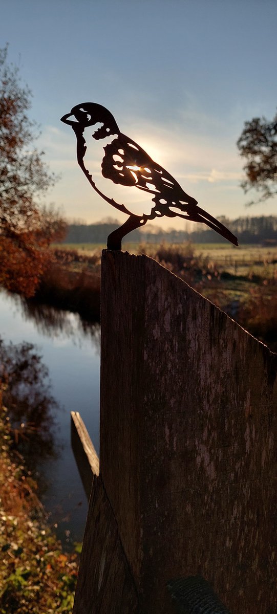 metalendier - tuinbeeld - mus - vogel - cortenstaal - NL fabrikaat