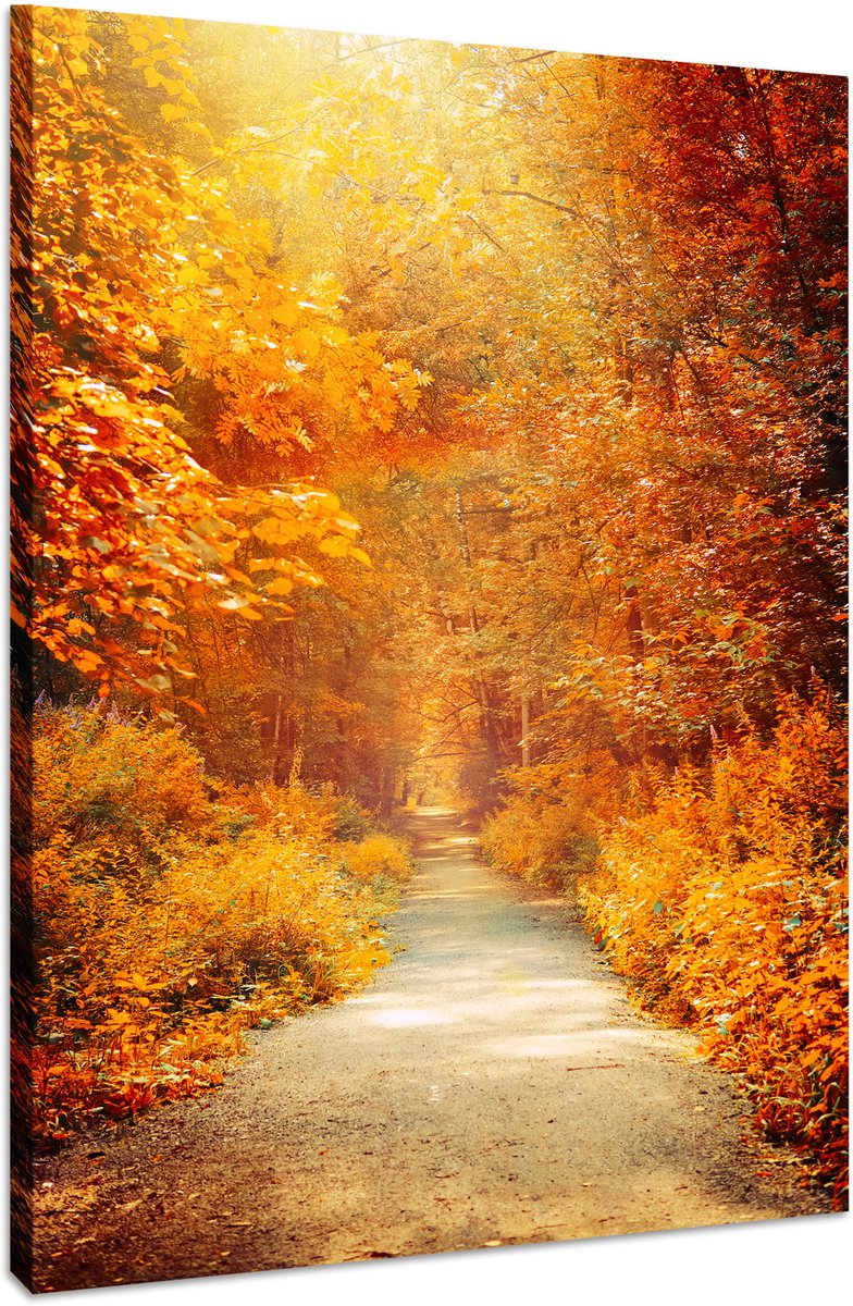 karo-art Schilderij - Herfstpad door het Bos, Premium Print, Wanddecoratie Multikleur