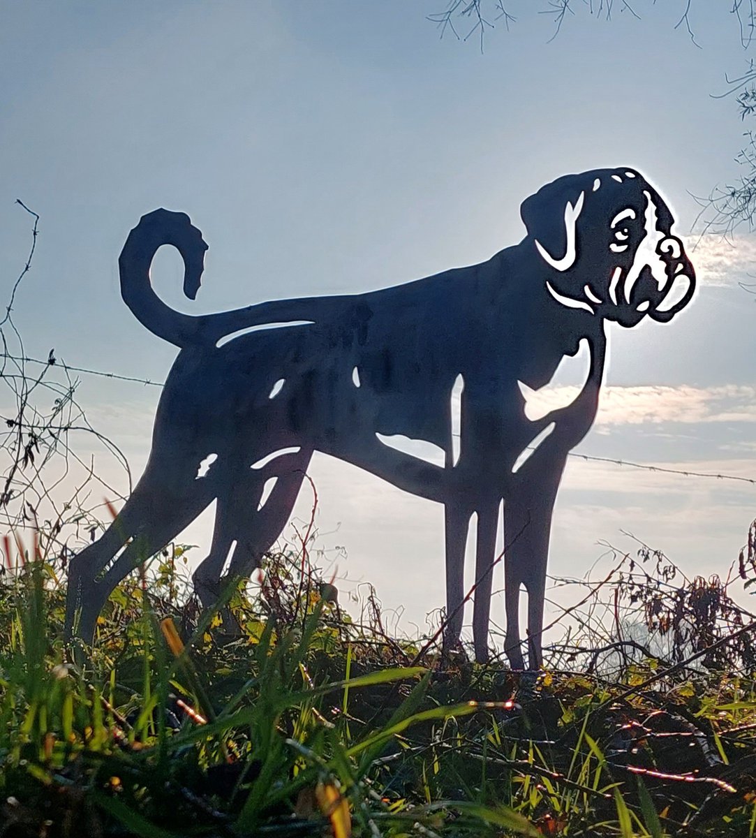 Boxer - silhouet hond - cortenstaal - NL product - ware grootte