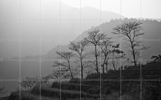 IXXI Trees in the Mountains - Wanddecoratie - Fotografie - 160 x 100 cm