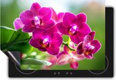 Chefcare Inductie Beschermer Roze Orchidee Bloemen - 90x50 cm - Afdekplaat Inductie - Kookplaat Beschermer - Inductie Mat