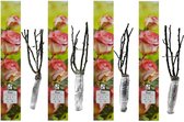 NatureNest - Geurende Grootbloemige tuinrozen mix - 4x Parfumé de Night&Day - 2-kleurig - 4 stuks - 50-60 cm