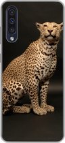Geschikt voor Samsung Galaxy A50 hoesje - Luipaard - Dieren - Vlek - Siliconen Telefoonhoesje