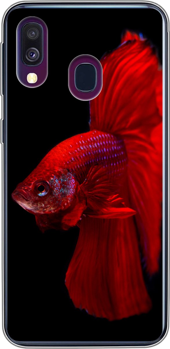 Telefoonhoesje Geschikt voor Samsung Galaxy A40 hoesje - Vis - Dieren - Rood - Siliconen Telefoonhoesje Telefoonhoesje