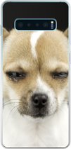 Geschikt voor Samsung Galaxy S10 Lite hoesje - Hond - Huisdieren - Portret - Siliconen Telefoonhoesje