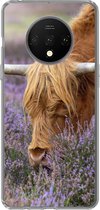Geschikt voor OnePlus 7T hoesje - Schotse Hooglander - Dieren - Heide - Siliconen Telefoonhoesje