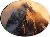 Dibond Ovaal - Berg - Sneeuw - Zonlicht - 28x21 cm Foto op Ovaal (Met Ophangsysteem)
