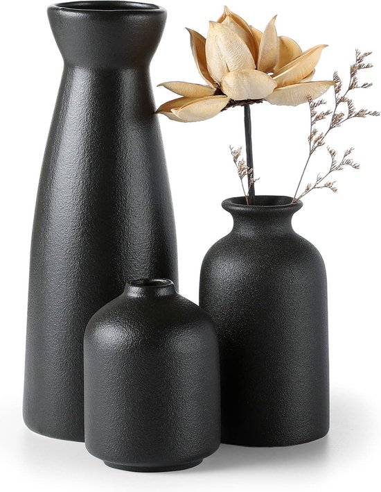 Zwarte keramische vazen, set van 3 kleine bloemenvazen voor decoratie, moderne rustieke boerderij, huisdecoratie, decoratieve vazen voor pampasgras