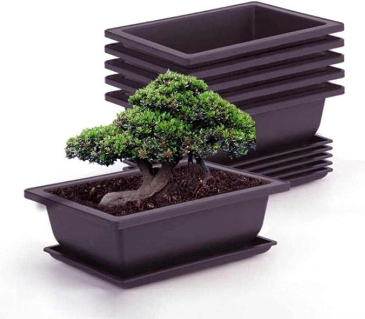 6 stuks bonsai-trainingshoofden met dienblad bloempot vierkante vetplanten potplanten en plantenpot voor tuin woonkamer en kantoor