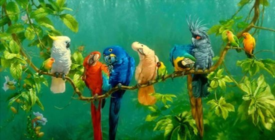 Allernieuwste.nl® Peinture sur toile Perroquets assis sur une branche - L'art sur votre mur - 100 x 50 cm - Couleur