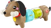 Fisher-Price Pets Klikken en Draaien Puppy - Zintuiglijk spel