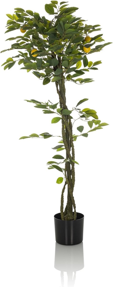 Kunstplant LEMON Kunststof Groen