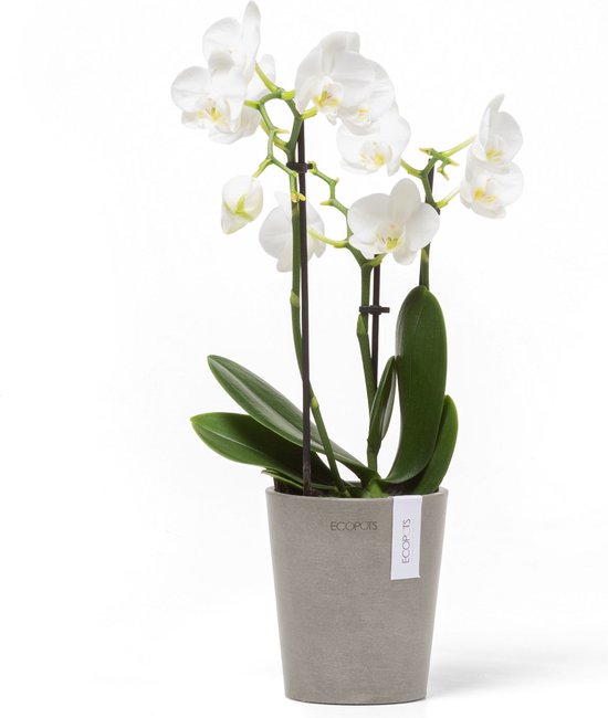 Bac à fleur Ecopots Pot Rond Brussels 25 Gris - 25 x H. 12 cm - 3,6 L